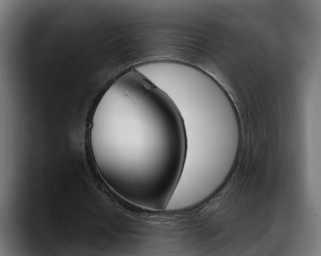 X0000088640434200705250922