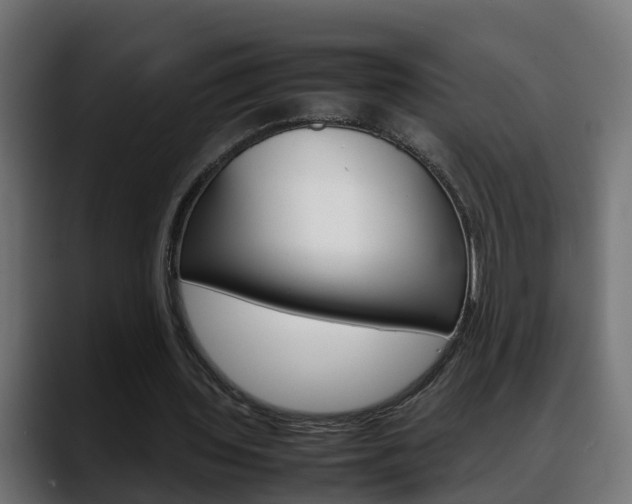 X0000088640435200705250922