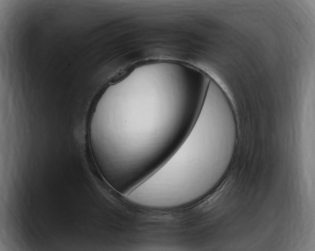 X0000088640437200705250922