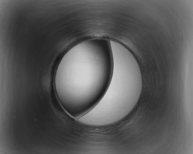 X0000088640440200705250922