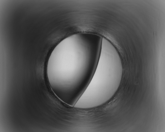 X0000088640442200705250922