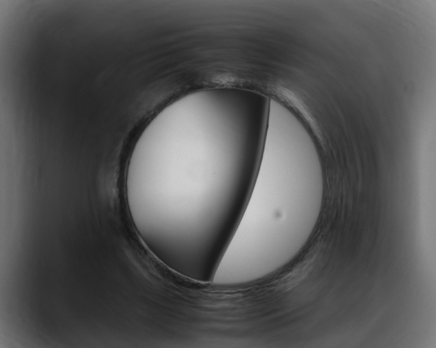 X0000088640443200705250922