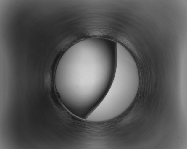 X0000088640444200705250922