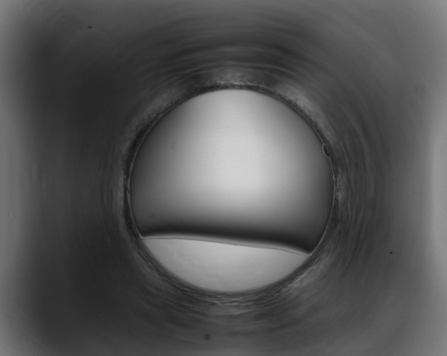 X0000088640445200705250922