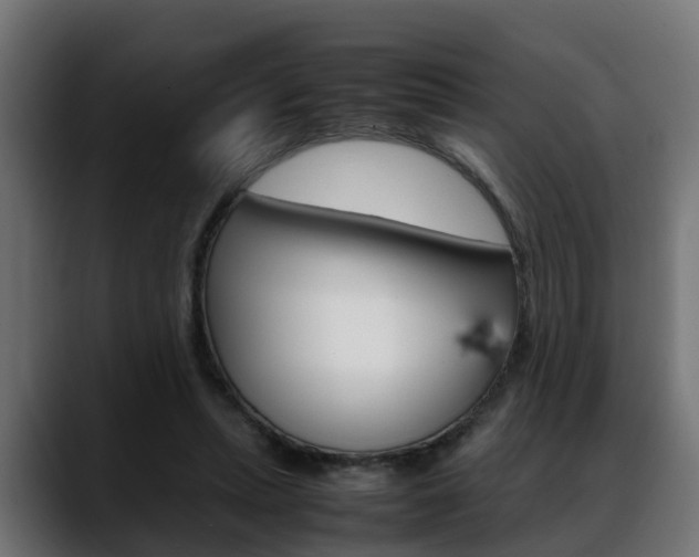 X0000088640447200705250922