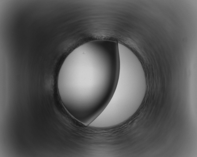 X0000088640448200705250922