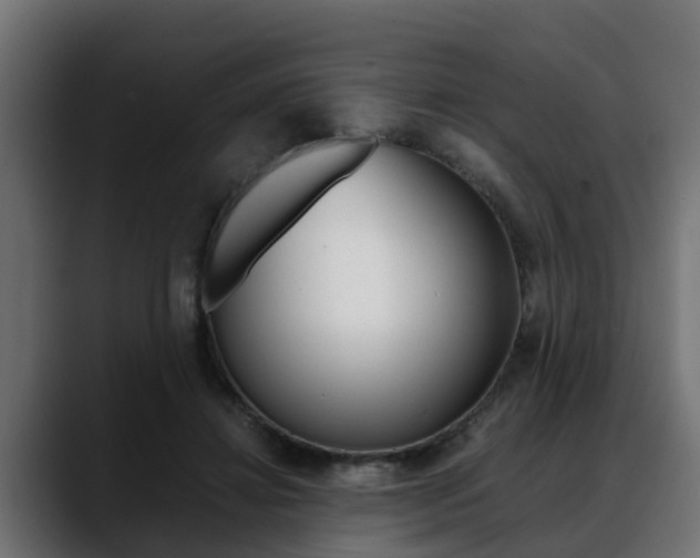 X0000088640452200705250922