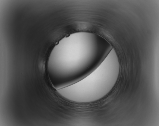 X0000088640454200705250922