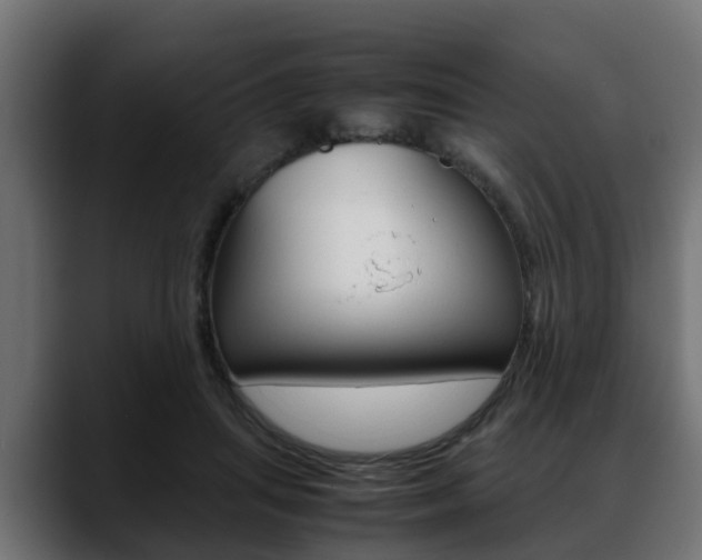 X0000088640455200705250922