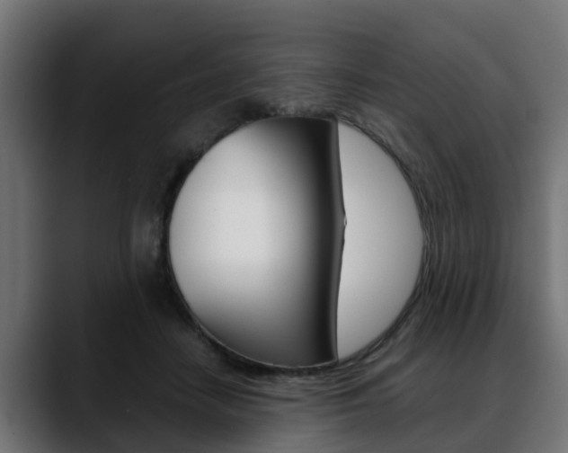 X0000088640458200705250922