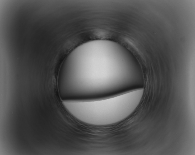 X0000088640459200705250922