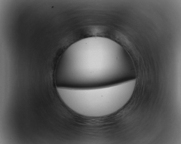 X0000088640461200705250922