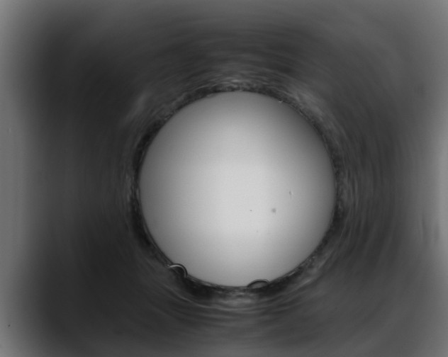 X0000088640463200705250922