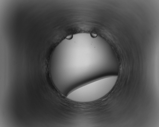 X0000088640464200705250922
