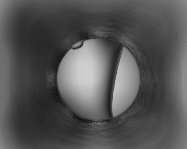 X0000088640465200705250922