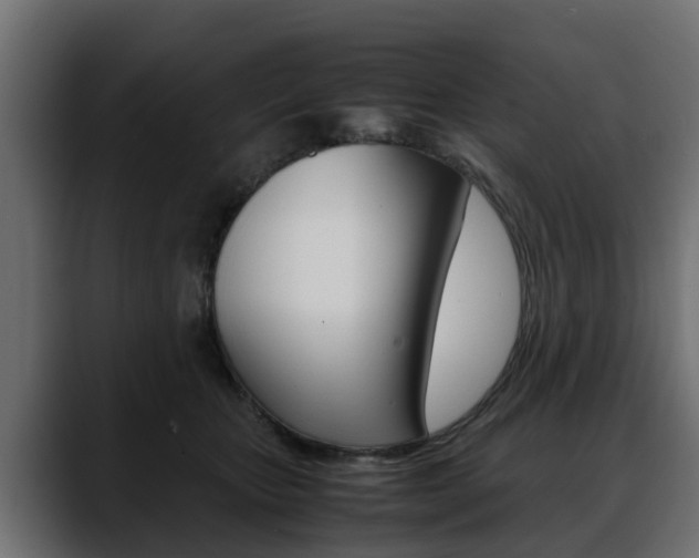 X0000088640467200705250922
