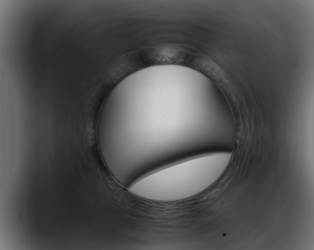 X0000088640469200705250922