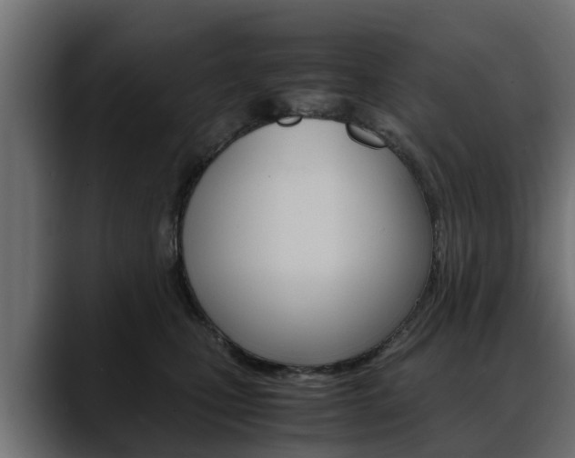 X0000088640471200705250922