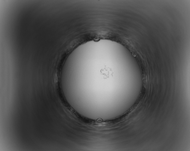 X0000088640472200705250922