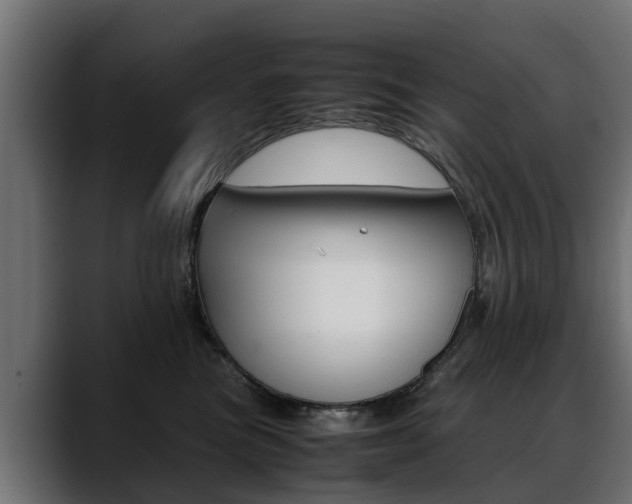 X0000088640473200705250922