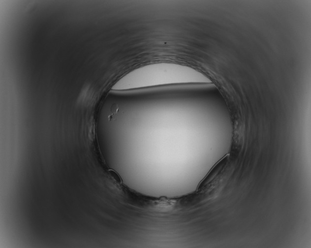 X0000088640474200705250922