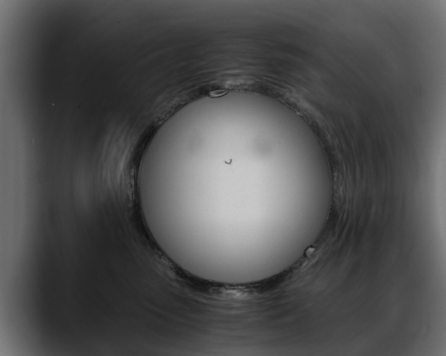 X0000088640475200705250922