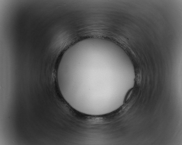 X0000088640476200705250922