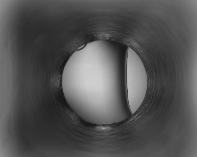 X0000088640477200705250922