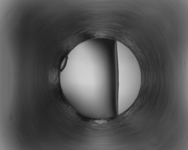 X0000088640478200705250922