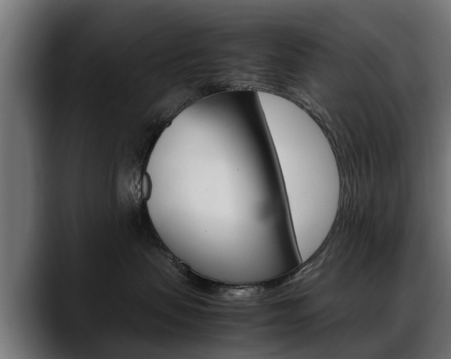 X0000088640479200705250922