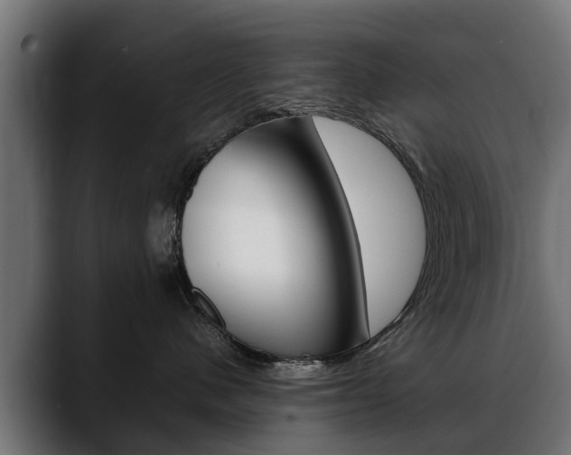 X0000088640480200705250922