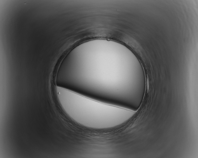 X0000088640483200705250922