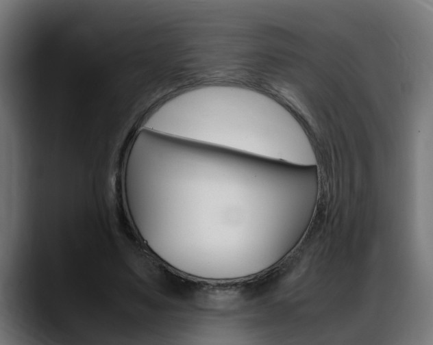 X0000088640491200705250922