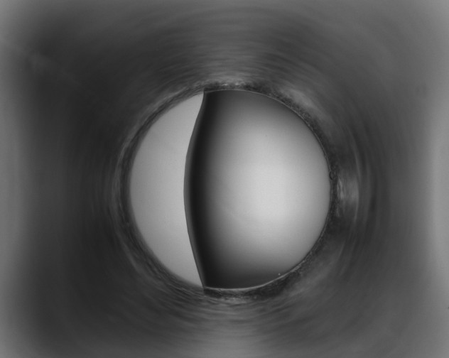 X0000088640492200705250922