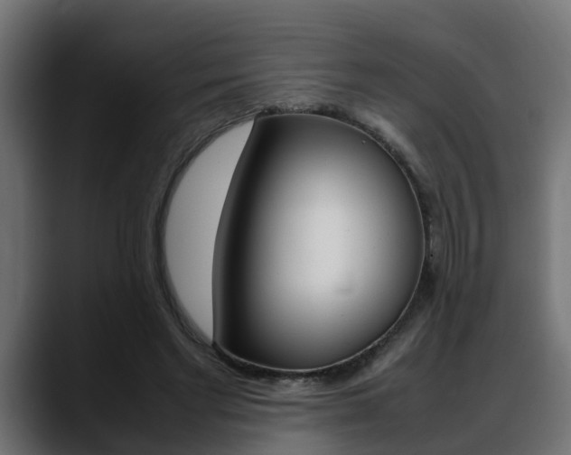 X0000088640493200705250922