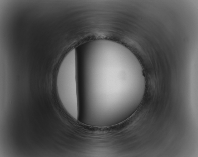 X0000088640496200705250922