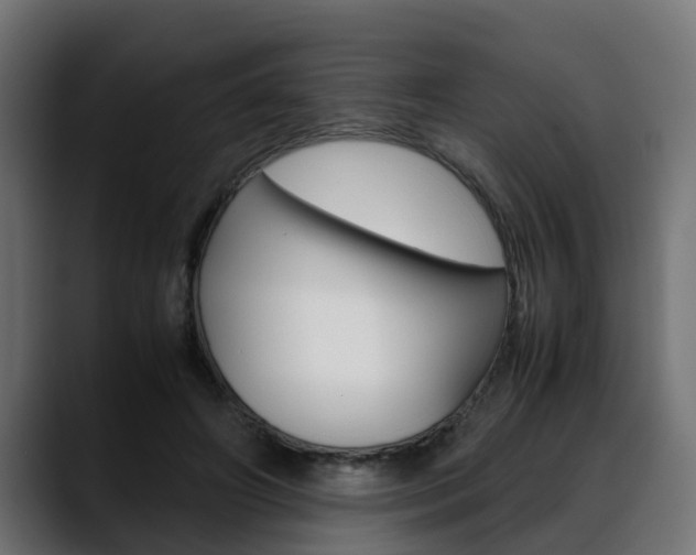 X0000088640498200705250922
