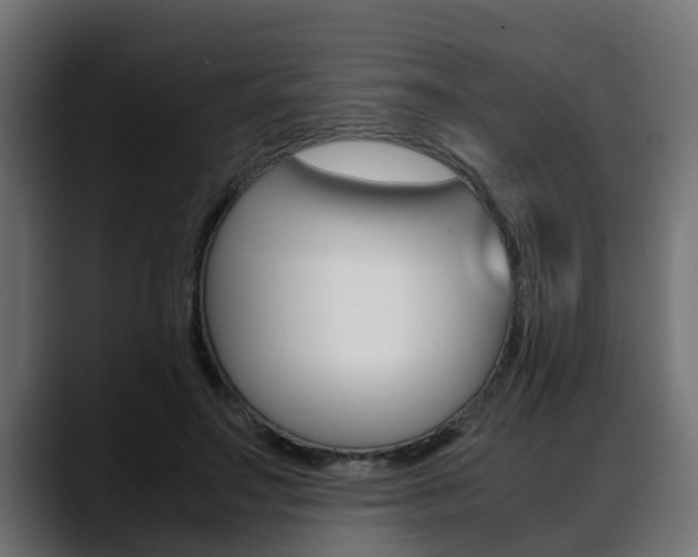 X0000088640499200705250922