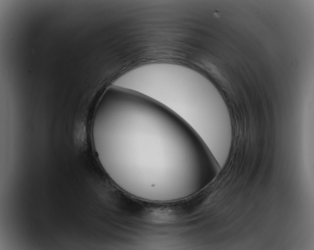 X0000088640500200705250922