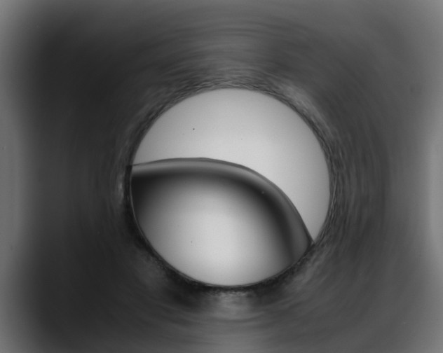 X0000088640501200705250922