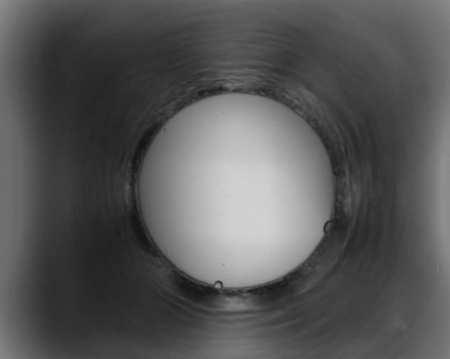 X0000088640510200705250921
