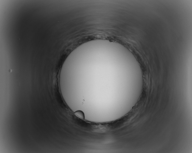 X0000088640511200705250921