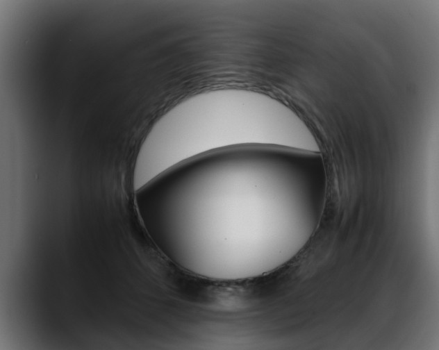 X0000088640512200705250921