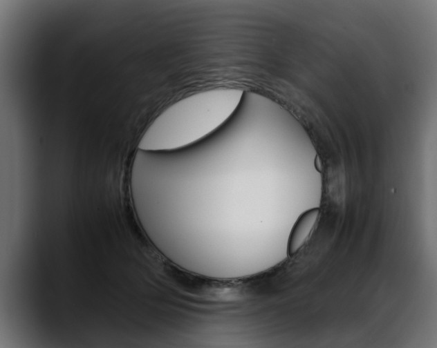 X0000088640514200705250921