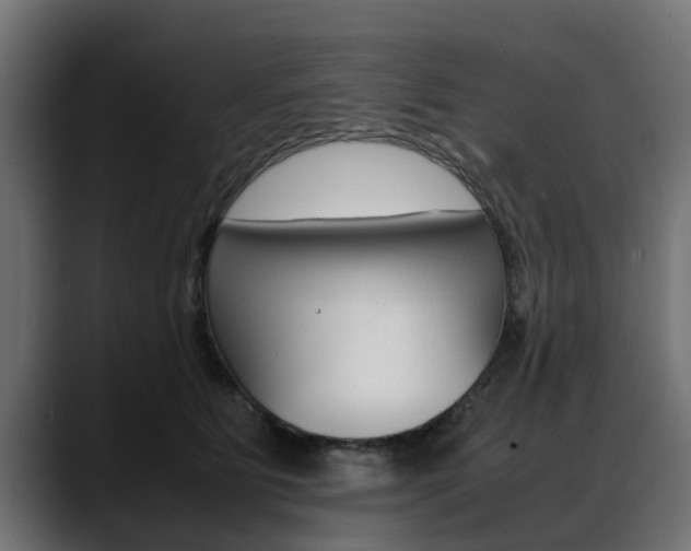 X0000088640515200705250921