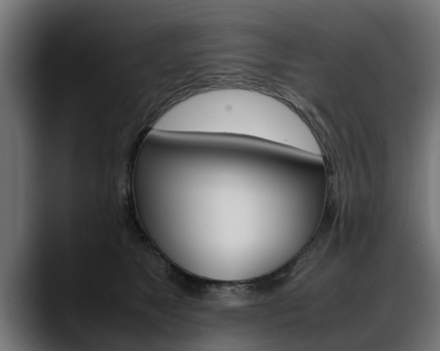 X0000088640517200705250921