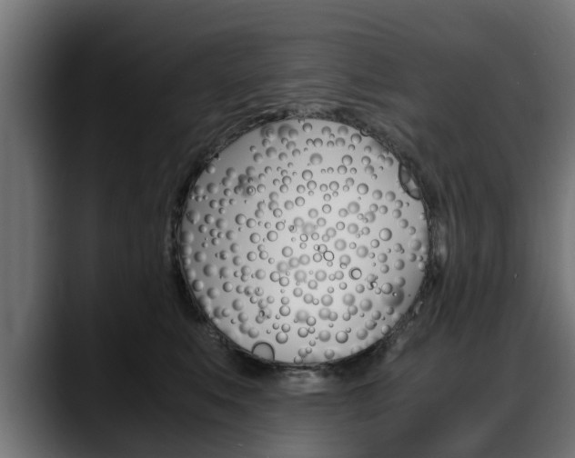 X0000088640519200705250921