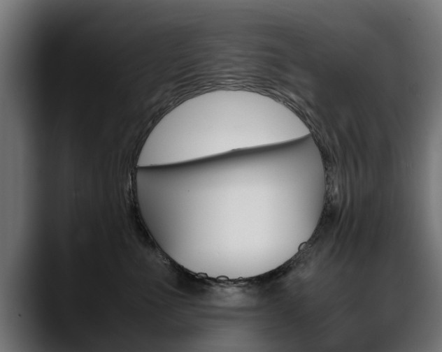 X0000088640523200705250921