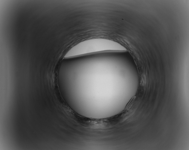X0000088640524200705250921