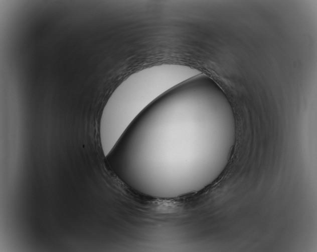 X0000088640528200705250921